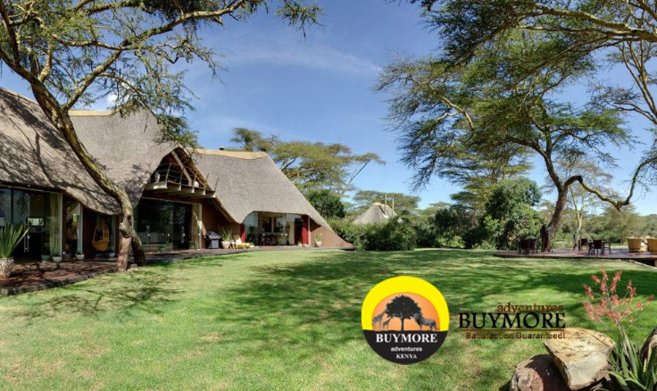 Discover Kenya's Wilderness: Why Buy More Adventures is Your Ideal Choice for Lodge Safaris