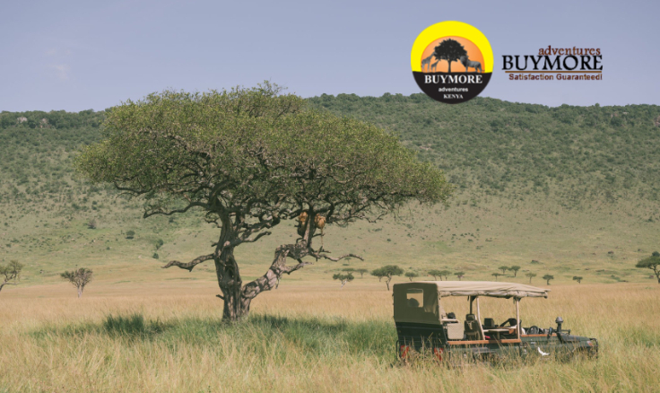 Kenya Safari: A Fantastic Opportunity to Explore Diverse Landscapes & Wildlife in Kenya