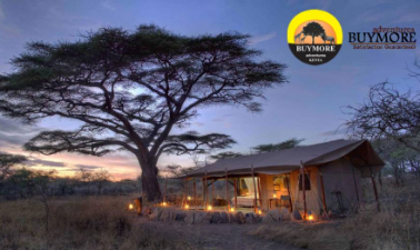 Kenya Budget Safari: Join the Life-Changing Adventure
