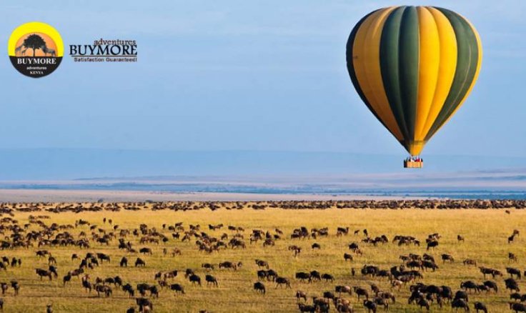 Masai Mara Migration