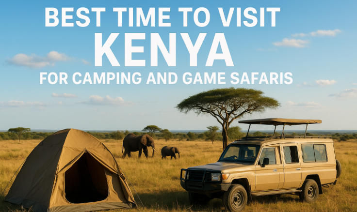 Best Time to Visit Kenya for Camping and Game Safaris