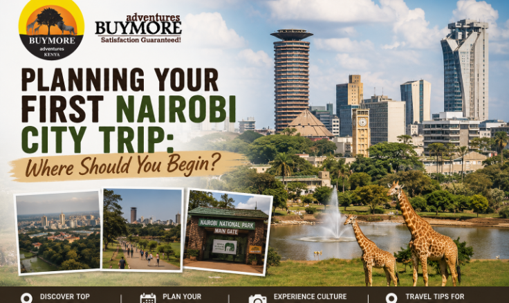 Planning Your First Nairobi City Trip: Where Should You Begin?