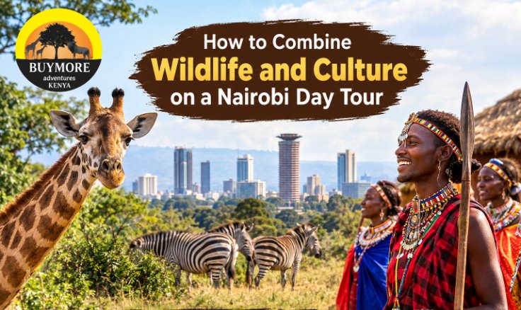 How to Combine Wildlife and Culture on a Nairobi Day Tour