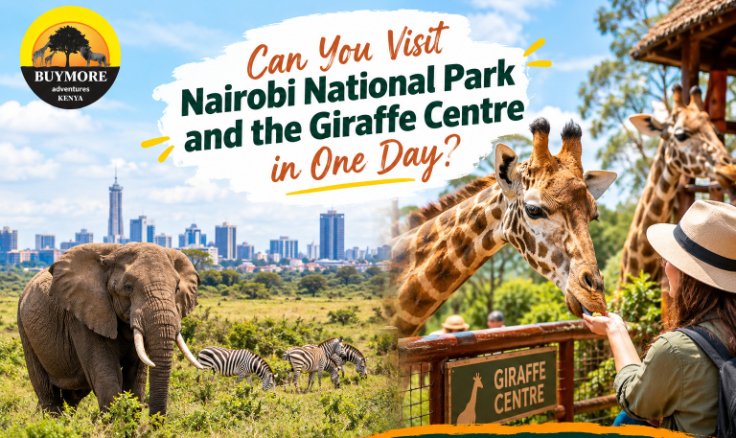 Can You Visit Nairobi National Park and the Giraffe Centre in One Day?
